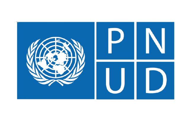 logo pnud