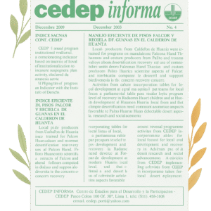 publicaciÓn 2 photoroom